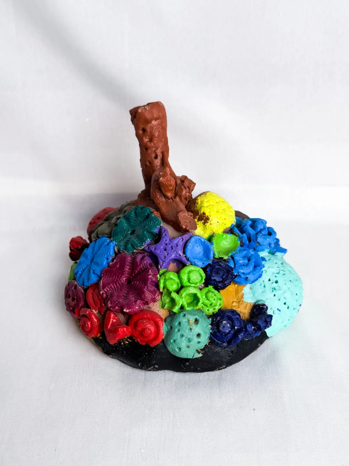 Coral reef